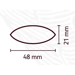 Cacao Barry Cocoa Pod / Cabosse - TRITAN -Seasonings And Snacks 090524 2