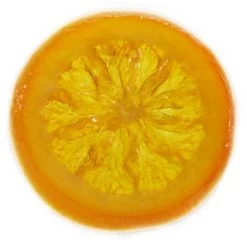 Corsiglia Orange Slices 2.5 In