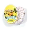 Les Anis De Flavigny Lemon Tin -Seasonings And Snacks lolli and pops premium les anis de flavigny lemon tin 28507265204424